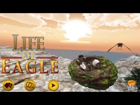 Life of Eagle - Wild Simulator Video