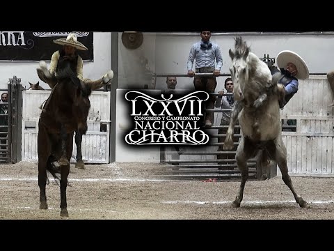 JINETEO DE YEGUA dia 18 (cuartos de final) - Congreso Aguascalientes 2021