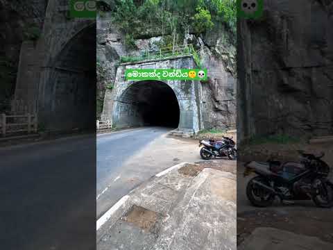 එළියට එන්න කලින් කිව්වොත් වැඩ්ඩෙක්👀😈#srilanka #automobile #viral #rider #shorts #feed