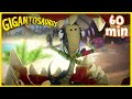 Dino Science RULES Mazu S Wild School Adventures Gigantosaurus Multilingual