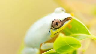 Photographie de Didider Turquet photographe reporter. Reportage à Madagascar chez Homéopharma
