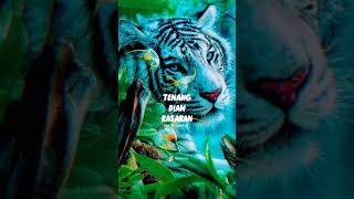 Download lagu Kata harimau putih sunan kalijaga #story #status #macanputih mp3 Download lagu Kata harimau putih sunan kalijaga #story #status #macanputih mp3