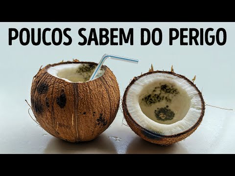 101 fatos curiosos para contar no momento perfeito