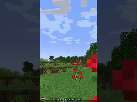 How To Find Your Seed in Minecraft Java Edition