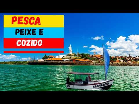 Aventura maravilhosa no mar 