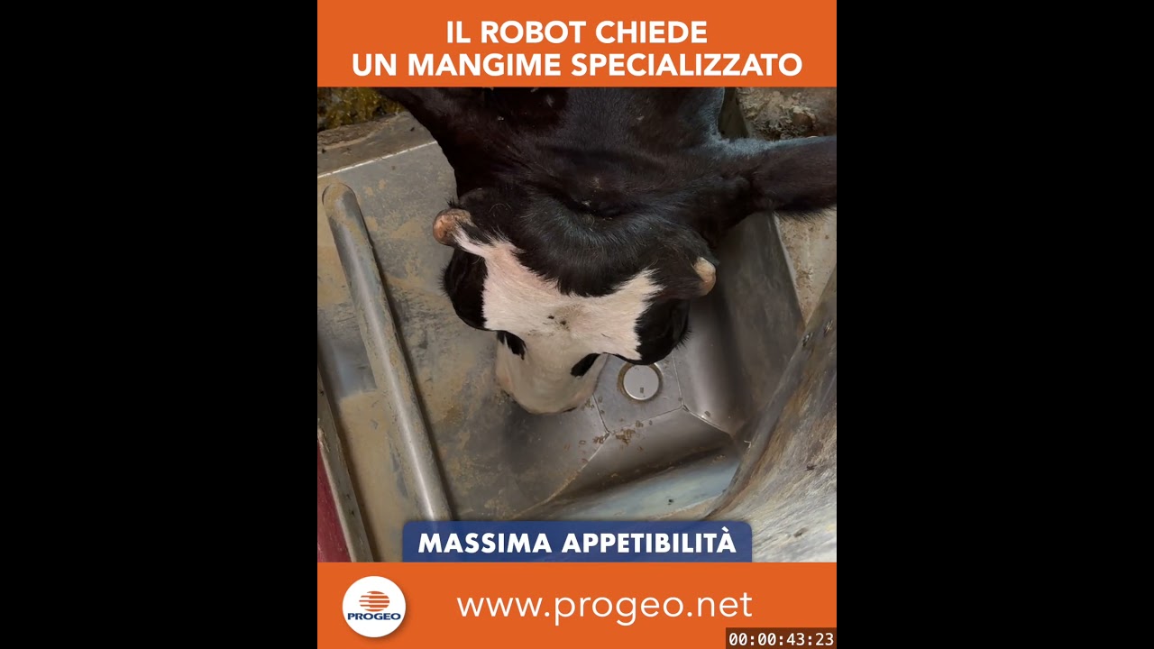 Fattoria IL MULINO LA COLLINA Societ Agricola  Toano...