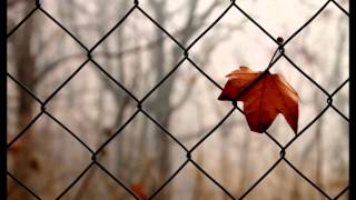 Nina Nastasia-Too much in between (lyrics + subtitulos en español)