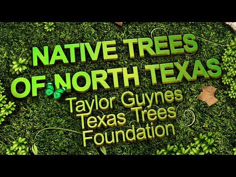 download lagu mp3 mp4 Trees That Grow In West Texas, download lagu Trees That Grow In West Texas gratis, unduh video klip Trees That Grow In West Texas