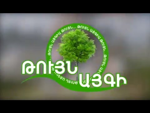 ArmComedy 227 - Կառավարությունը ծրագիր բերեց