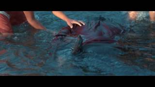 El Silencio del Río (Trailer) - Categoría: Colombia #IndieBo2016