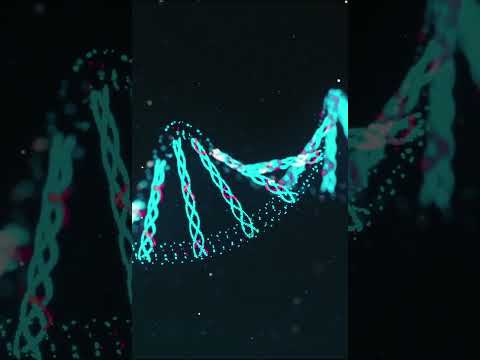 Human Shark Hybrid A Genetic Experiment Gone Too Far