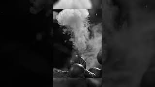 How do Organisms Reproduce/V-8/Asexual reproduction/Spore Formation/Class 10/#science #biology