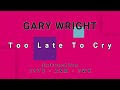 GARY WRIGHT-Too Late To Cry (vinyl)