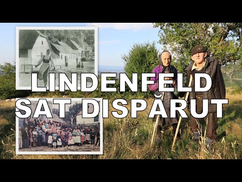 LINDENFELD, satul dispărut al boemilor din Banatul Montan