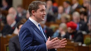 Feds ‘violating’ Canadians’ privacy with data request: Scheer