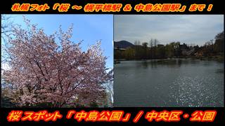 【実写 / 札幌フォト】「桜･中島公園 ～ 幌平橋駅 ＆ 中島公園駅」まで！  【一部ゆっくり使用】