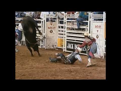 Wild Thing bucks Tuff Hedeman - 96 PBR Odessa