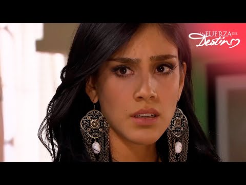 Lucía and Iván could be cousins ​​| The Power of Destiny | Episode 12 Summary | tlnovelas