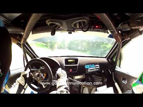 Domenico Erbetta - Rally del Friuli Venezia Giulia 2017 - Ps 5 "Trivio - San Leonardo"