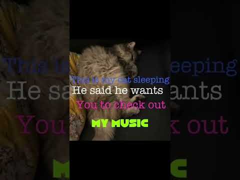 #mycat #checkthisout #comeonman #xanthe