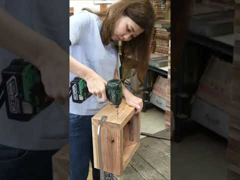 コマドリの巣箱を簡単に作る方法は？知っておくべきことはすべて！  庭園