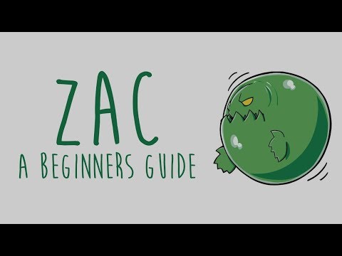 Zac: A Beginners Guide