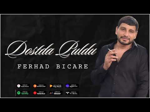 Ferhad Bicare - Dosta Puldu (2025)