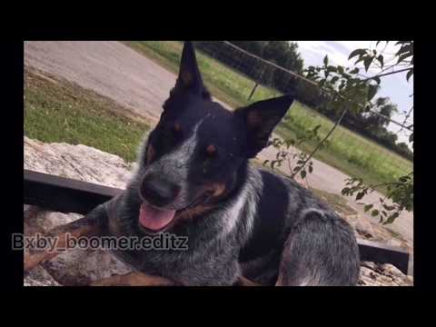 I can’t believe she did this behind my back