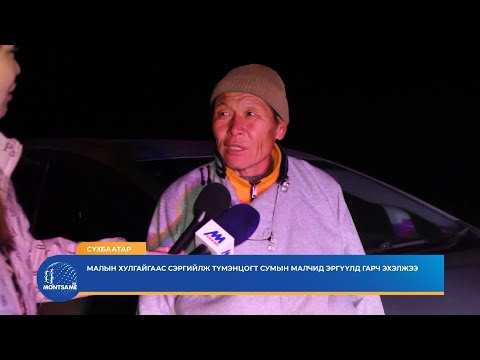 СҮХБААТАР: Малын хулгайгаас сэргийлж Түмэнцогт сумын малчид эргүүлд гарч эхэлжээ