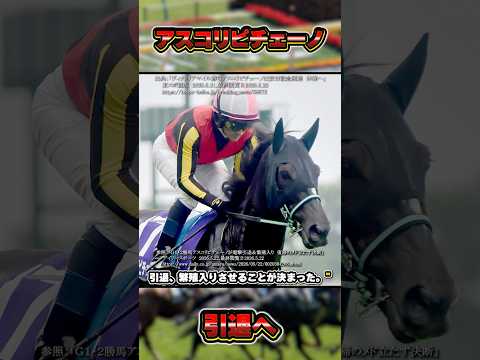 【牝馬マイルG1・2勝】アスコリピチェーノが引退・繫殖入り　#shorts #競馬 #競馬予想 #中央競馬予想 #馬 #アスコリピチェーノ #阪神ジュベナイルフィリーズ #桜花賞 #ルメール