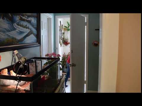 Bapzingo Out of Context