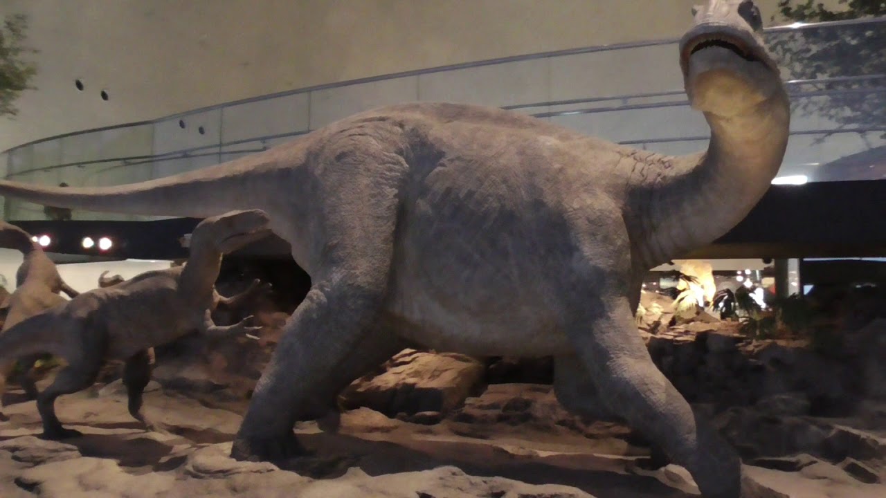【こいつ動くぞ！】福井県立恐竜博物館 Fukui Prefectural Dinosaur Museum(Japan)