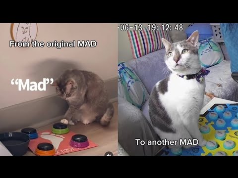 Sabriel is very mad at her hoomom