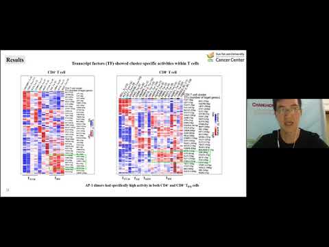 HCA Meeting Asia 2020: Selected 1d - Single-cell transcriptome profiling an adult human cell atlas