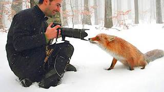 Miniature vidéo