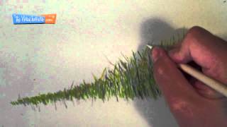 How to Draw Grass - Colored Pencils
