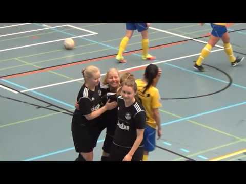 Naisten futsal-liiga 2016-2017 / ACE vs. FTK maalikooste 22.1.2017