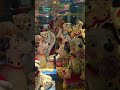 DAY 1️⃣2️⃣ Disney Collector S Studio Tour 101 Dalmatians JimShore DisneyHaul 101Dalmatians