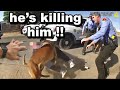 When Cops LOSE CONTROL Of Police Dogs
