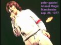 Peter Gabriel - Animal Magic Manchester 1977