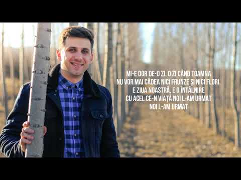 Mi-e dor de-o zi - David Preuteasa