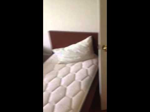 323 Commonwealth Ave #6