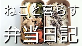 ねこと暮らす前日作り置き弁当日記です