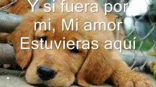 1A - Ya No Queda Amor - Wisin & Yandel (Lirica)