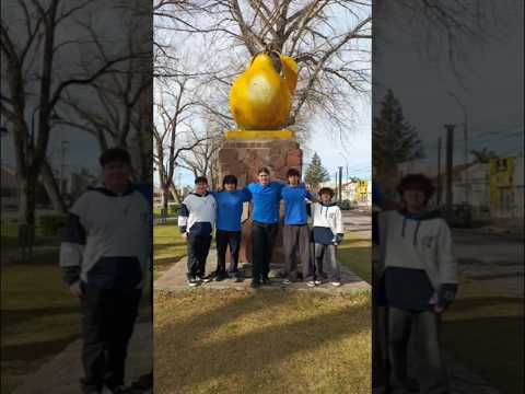 ⚙️ ¡Presentación del equipo PyrusSat para el desafío CANSAT Secundario 2026! 🍐