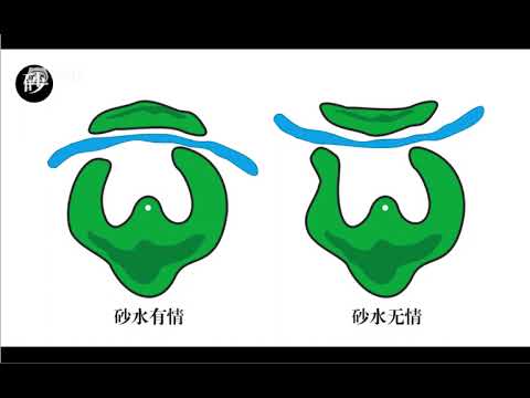 龍穴砂水