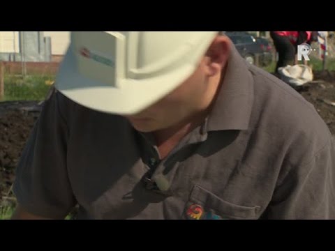 Archeologische schat gevonden in Groot-Ammers