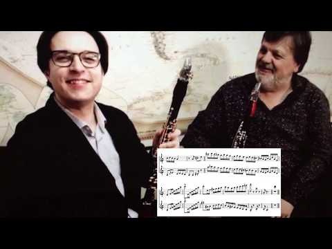 Happy Birthday (clarinet duo transcription) - Corrado Giuffredi & Jose Franch-Ballester