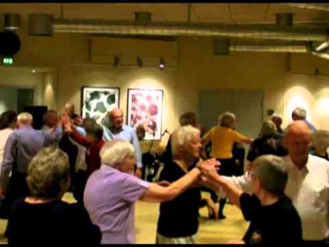 Den toppede høne fra Thy