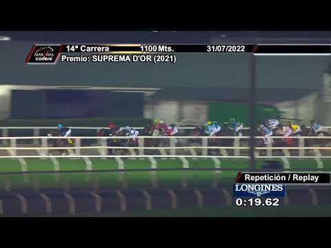CARRERAS MARONAS 31 DE JULIO 2022  - WWW.MARONASONLINE.COM